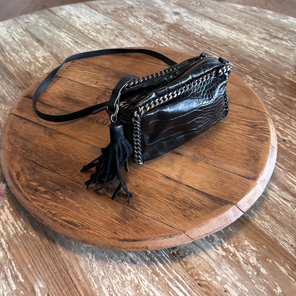 Zara Snakeskin Chain & Leather Bag w/ Tassle